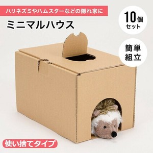 Small Animal Pet Item Hedgehog Hamster Set of 10