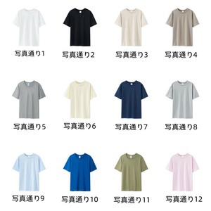 P17124 メンズ 男 トップス Tシャツ カジュアル ラウンドネック 無地 コットン 2024春夏新作 半袖 17色