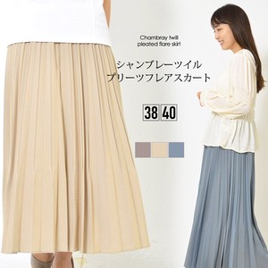 Skirt Pleats Skirt Chambray Waist