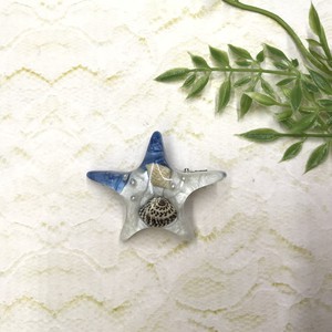 Clip Starfish