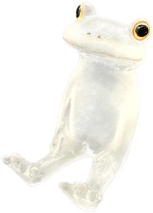 动物摆饰 Copeau 迷你型 青蛙 吉祥物 透明