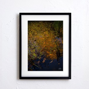 【アートポスター】写真 日本 風景景色 自然 池 水面 pond photo japan nature  A4サイズ 額縁付