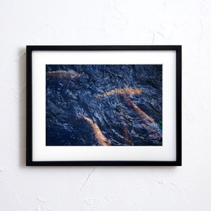 【アートポスター】写真 日本 風景景色 鯉 carp photo japan nature A4サイズ 額縁付