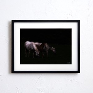 【アートポスター】写真 日本 風景景色 馬 Horse photo japan nature A4サイズ 額縁付