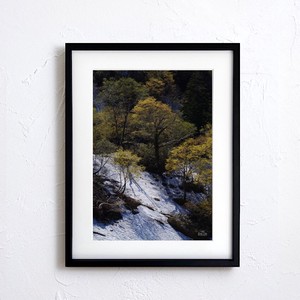 【アートポスター】写真 日本 風景景色 自然 森 樹 山 Nature photo japan A4サイズ 額縁付