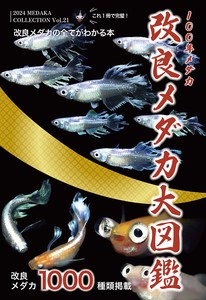 改良メダカ大図鑑 100年メダカ 2024 Vol.21 (MEDAKA COLLECTION)