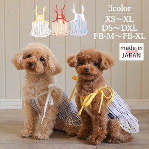 Dog Clothes Stripe Multi Made in Japan