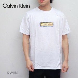 カルバン・クライン ジーンズ【Calvin klein Jeans】SS GRAPHIC TEE Tシャツ ロゴ 半袖 メンズ レディース