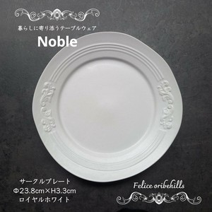 Mino ware Main Plate Western Tableware 24cm Made in Japan