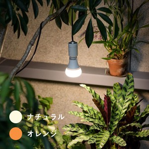 植物育成ライト 【育てるあかり】 LED led ライト e26