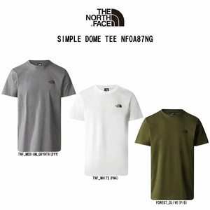 THE NORTH FACE(ザ ノースフェイス)Tシャツ クルーネック 半袖 ロゴ プリント メンズ NF0A87NG