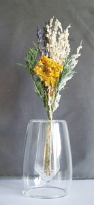 Flower Vase Dry flower 2Way