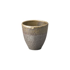 Shigaraki ware Japanese Teacup