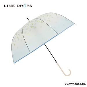 Umbrella Daisy Clear