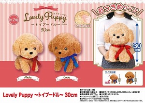 「ぬいぐるみ」Lovely Puppy〜トイプードル〜30cm
