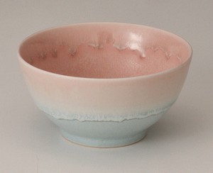 Mino ware Japanese Teacup Matcha Bowl Pastel