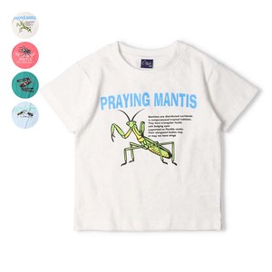 Kids' Short Sleeve T-shirt Stag-beetle