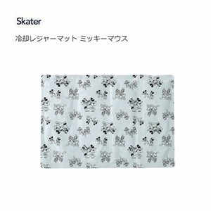 Picnic Blanket Mickey Skater M