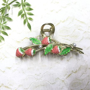 Clip Strawberry Fruits