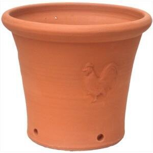 予約販売・6月入荷予定◆ウィッチフォード･植木鉢《クックレール》 英国製 Whichford Cockerel Pot