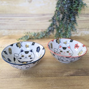 Mino ware Donburi Bowl Ramen Bowl 2-colors Made in Japan