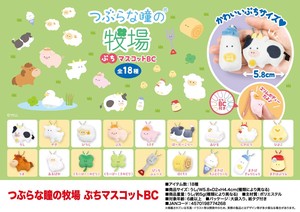 Plushie/Doll Meadow Stuffed toy Petite Mascot Tsuburana Hitomi no