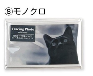 全部ちがう柄　トレーシングペーパー　フォトミニカード　モノクロ　made in Japan【カード】