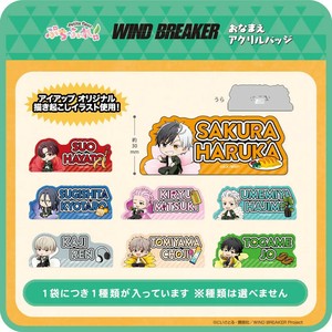 【コンプリートBOX】TVアニメ『WIND BREAKER』　ぷちふれ　おなまえアクリルバッジセット
