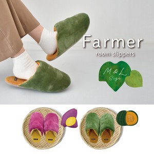Pre-order Slippers Slipper Colorful 【2024NEW】