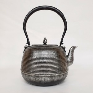 Nambu tetsubin Kettle