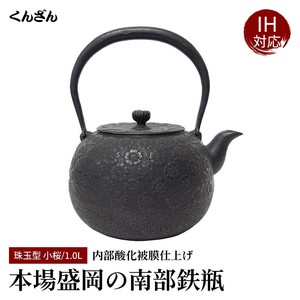 Nambu tetsubin Kettle
