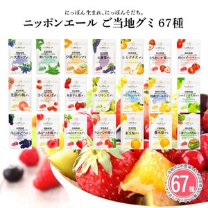 【全67種類セット】ニッポンエール ご当地グミ アソート お土産 名産 果実グミ 全国農協食品