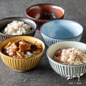 Rikizo Kasama ware Rice Bowl Pottery Made in Japan