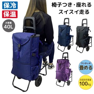 Suitcase Foldable Large Capacity