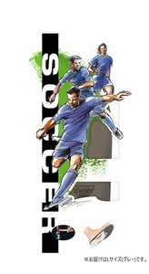 DSIS　ソルボサッカー　グレー　61653・L