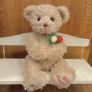 ワイルドストロベリーベア ベージュ M　ぬいぐるみ