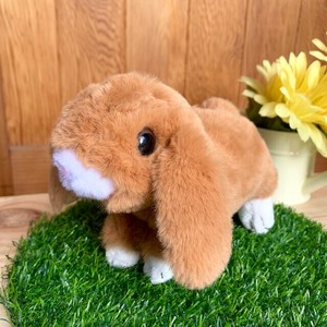 うさぎのマロン　ホーランドロップ　ライトブラウン　ぬいぐるみ　ファーム