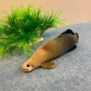 ぽけぷに　ピラルク　ぬいぐるみ　水生生物