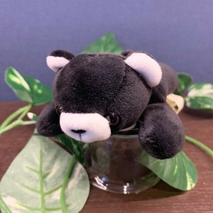 ぽけぷに　ツキノワグマ　ぬいぐるみ