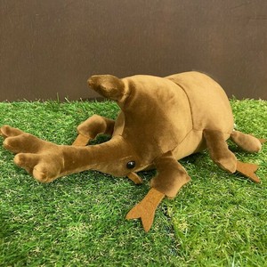 コットンクラウディ　カブトムシ　ぬいぐるみ
