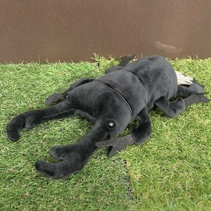 コットンクラウディ　オオクワガタ　ぬいぐるみ