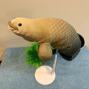 ピラルク　ハンドパペット　ぬいぐるみ　水生生物