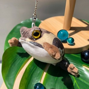 アニマニア　アメフクラガエル　ぬいぐるみ　キーホルダー　水生生物