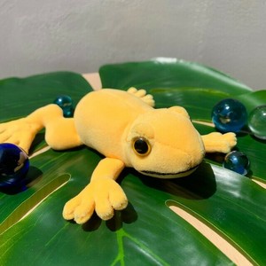 アニマニア　モウドクフキヤガエル　ぬいぐるみ　マグネット　水生生物