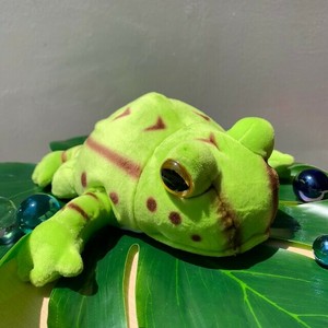 アニマニア　ベルツノガエル　ぬいぐるみ　水生生物