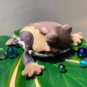 アニマニア　アメフクラガエル　ぬいぐるみ　水生生物
