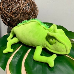 アニマニア　カメレオン　ぬいぐるみ