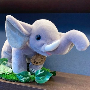 リアルモア　ゾウ　M　ぬいぐるみ