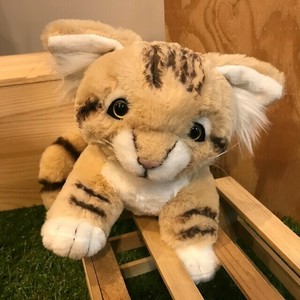スナネコ　M　ぬいぐるみ