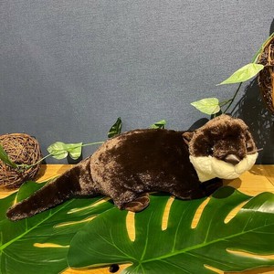 カワウソ　ダークブラウン　這型　L　ぬいぐるみ　水生生物